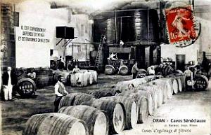 Oran - Caves Seneclauze - 1913
